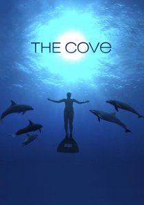 The Cove