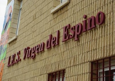 IES VIRGEN DEL ESPINO