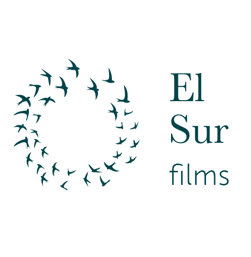 El Sur Films