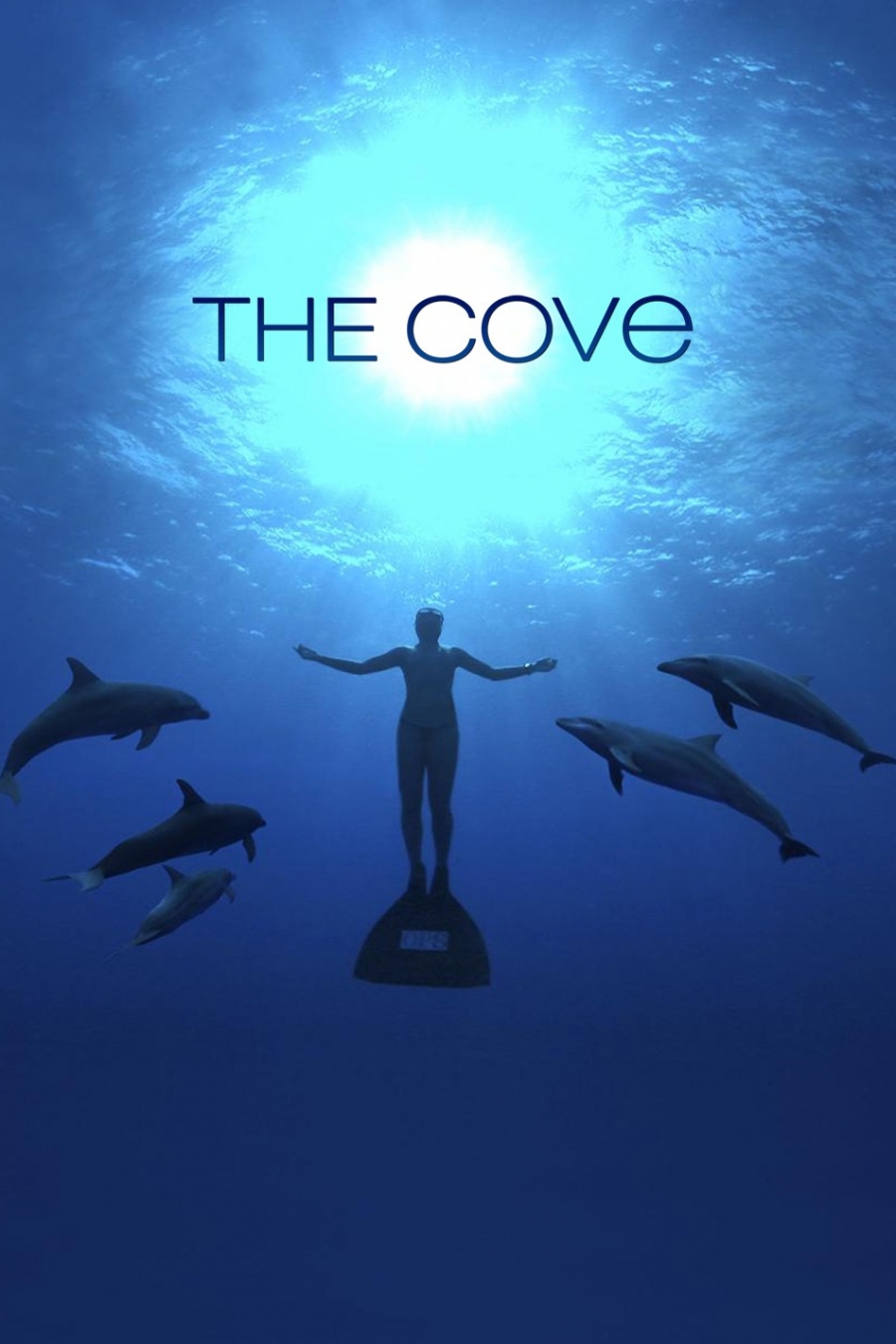 The Cove