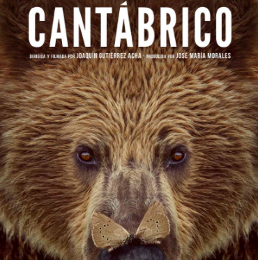 Guía de especies del Cantábrico