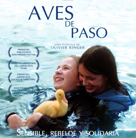 Aves de paso - Guía didáctica