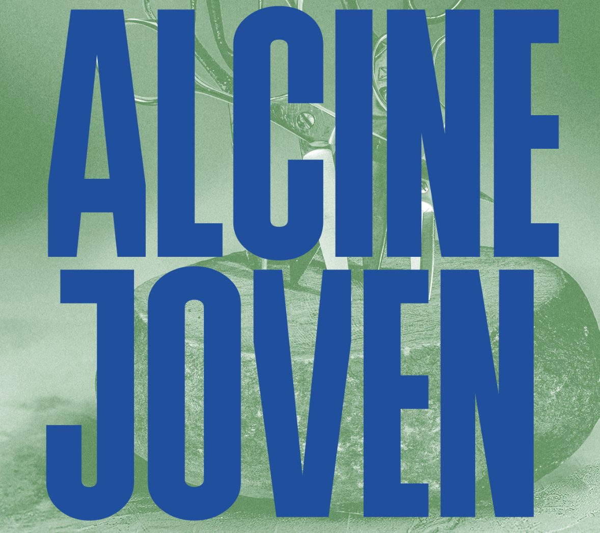 Guía didáctica: ALCINE Joven 