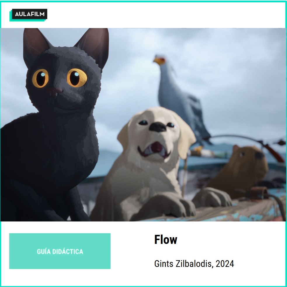 Flow: guía didáctica