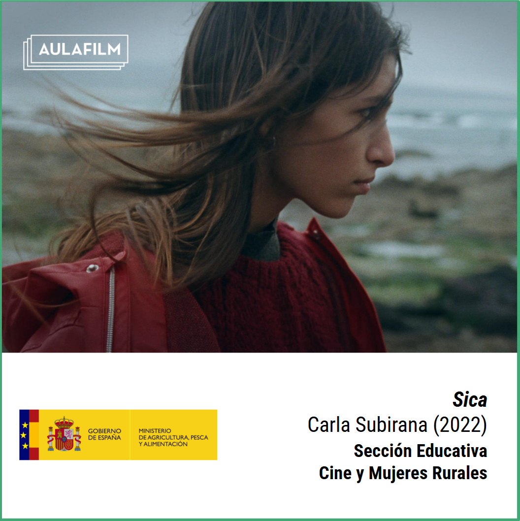 Sica: guía pedagógica